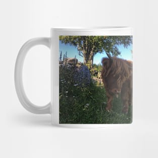 Scottish Highland Cattle Calf 2060 Mug